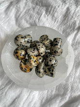 Load image into Gallery viewer, Dalmatian Jasper Mini Mushroom
